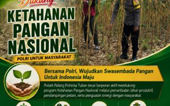 Dukung Astacita, Polsek Palang Polresta Tuban Pantau Langsung Lahan Jagung milik warga Desa Wangun