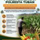 ANGGOTA POLSEK GRABAGAN SAMBANG DESA BINAAN, PANTAU LAHAN JAGUNG DAN MEMASTIKAN SISTEM IRIGASI MASIH LANCAR