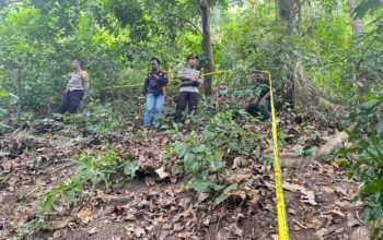 Polisi Selidiki Penemuan Mayat Misterius di Perbukitan Pemenang, Diperkirakan Meninggal Lebih dari Sepekan
