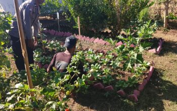 Dukung Program Asta Cita Ketahanan Pangan, Bhabinkamtibmas Desa Pelat Dorong Warga Manfaatkan Lahan Produktif