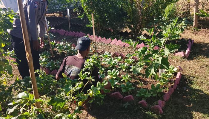 Dukung Program Asta Cita Ketahanan Pangan, Bhabinkamtibmas Desa Pelat Dorong Warga Manfaatkan Lahan Produktif