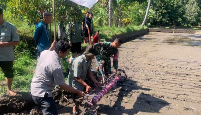 Sinergi TNI dan Petani Percepat Modernisasi Pertanian Suranadi