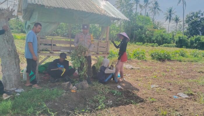 Bhabinkamtibmas Desa Mumbu Sambangi Warga, Ajak Petani Maksimalkan Lahan dan Jaga Kamtibmas
