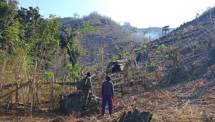 Babinsa Sekotong Edukasi Petani Cegah Lahan Terbakar