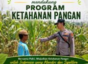Mendukung Program Ketahanan Pangan Nasional Anggota Bhabinkamtibmas Polsek Senori Polresta Tuban Monitoring Tanaman Jagung Warga Desa Leran