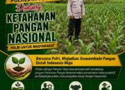 Dukung Asta Cita, Polsek Jatirogo Turun Langsung Pantau Ladang Jagung Warga Desa Besowo