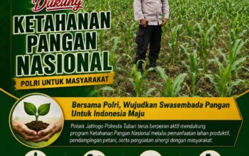 Dukung Asta Cita, Polsek Jatirogo Turun Langsung Pantau Ladang Jagung Warga Desa Besowo