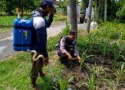 Dukung Astacita Presiden RI, Bhabinkamtibmas Polsek Jenu Polresta Tuban Cek Perkembangan Tanaman Jagung Warga