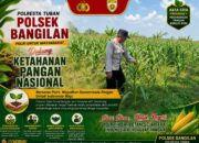 POLSEK BANGILAN DUKUNG KETAHANAN PANGAN, WUJUDKAN SWASEMBADA PANGAN DI WILAYAH