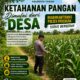 DALAM RANGKA POLRI DUKUNGAN PROGRAM ASTACITA, BHABINKAMTIBMAS DESA PACING POLSEK PARENGAN POLRESTA TUBAN SAMBANGI LOKASI TANAMAN JAGUNG DI DESA PACING KEC. PARENGAN