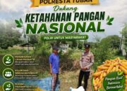 ​Dukung Ketahanan Pangan, Bripda Gustian Polsek Bancar Sambangi Petani dan Monitor Panen Jagung di Desa Pugoh