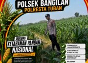 Ketahanan Pangan Polsek Bangilan