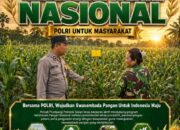 Polsek Plumpang Polresta Tuban Turun Langsung Cek Tanaman Jagung Warga