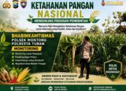 Polsek Montong Polresta Tuban Turun Cek Tanaman jagung Warga di Desa Bringin