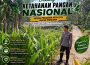 Polri Dukung Astacita, Polsek Semanding Polresta Tuban Turun Cek Tanaman jagung milik Warga di Desa Ngino