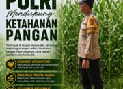 Polsek Singgahan Polresta Tuban Turun Cek Tanaman jagung Warga di Desa Mulyoagung