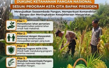 ANGGOTA POLSEK GRABAGAN SAMBANG DESA BINAAN, PANTAU LAHAN JAGUNG DAN MEMASTIKAN SISTEM IRIGASI MASIH LANCAR
