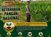 Polri Dukung Astacita, Polsek Semanding Polresta Tuban Turun Cek Tanaman jagung milik Warga di Desa Ngino