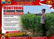 Monitoring Ketahanan Pangan Tanaman Jagung di Wilayah Bangilan