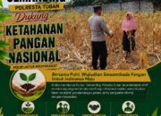 Polisi RW Polsek Senori Polresta Tuban Pantau Kodisi Tanaman Jagung Milik Warga Desa Medalem Guna Mendukung Program Ketahanan Pangan
