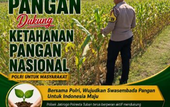 DUKUNG ASTA CITA, ANGGOTA POLSEK KEREK PANTAU PERTUMBUHAN JAGUNG PERANI DI DESA BINAAN