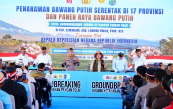 Polri Tanam Bawang Putih Serentak di 14 Polda, Potensi Panen Capai 2.795 Ton