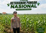 Polsek Singgahan Polresta Tuban Turun Cek Tanaman jagung Warga di Desa Lajo Lor