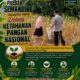 Polri Dukung Astacita, Polsek Semanding Polresta Tuban Turun Cek Tanaman jagung milik Warga di Desa Jadi