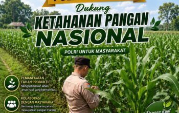 Polri dukung progam Astacita, Polsek Jatirogo Polresta Tuban Turun Cek Tanaman jagung Warga di Desa Sidomulyo