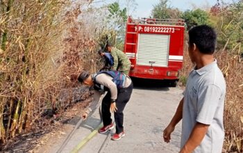 Kebakaran Lahap 40 Are Lahan Kebun di Taman Sari