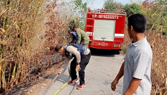 Kebakaran Lahap 40 Are Lahan Kebun di Taman Sari