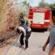 Kebakaran Lahap 40 Are Lahan Kebun di Taman Sari