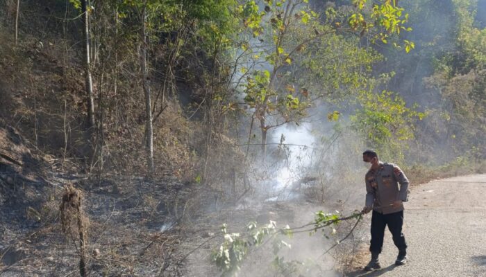 Sigap Padamkan Titik Api di Kilometer 78, Kapolsek Lunyuk Bersama Warga Tanggulangi Kebakaran Hutan dan Lahan