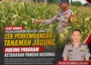 Dukung Astacita, Polsek Palang Polresta Tuban Pantau Langsung Lahan Jagung milik warga Desa Wangun