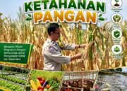 Mendukung Program Ketahanan Pangan Nasional Anggota Ps Kanit Binmas Polsek Senori Polresta Tuban Memantau Tanaman Jagung Milik Warga Desa Medalem