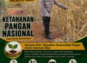 Dukung Astacita, Polsek Palang Polresta Tuban Pantau Langsung Lahan Jagung milik warga Desa Tasikmadu