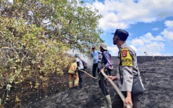 Sigap Padamkan Karhutla di Kilometer 84 Lunyuk, Polsek Bersama Damkar dan Warga Selamatkan Lahan Tanam Warga