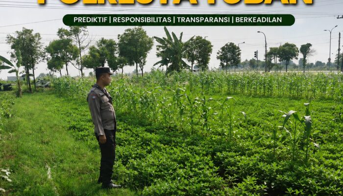 Polsek Tuban Dukung Ketahanan Pangan, Pantau Perkembangan Lahan Pertanian Warga