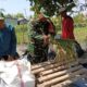 Setiap Bulir Padi, Ada Harapan Petani Midang