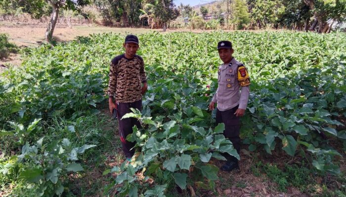 Bhabinkamtibmas Desa Tekasire Dorong Warga Manfaatkan Lahan untuk Ketahanan Pangan dan Cegah Karhutla