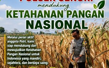 Polisi RW Polsek Senori Polresta Tuban Pantau Kodisi Tanaman Jagung Milik Warga Desa Medalem Guna Mendukung Program Ketahanan Pangan