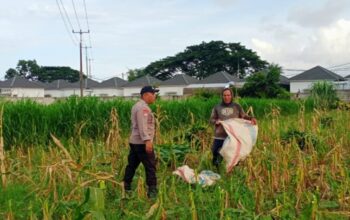 Dukung Ketahanan Pangan Nasional, Polsek Labuapi Dampingi Petani Lokal di Desa Karang Bongkot