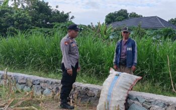 Dukung Program Prioritas Pemerintah, Polsek Labuapi Intensifkan Pendampingan Sektor Pertanian di Desa Karang Bongkot