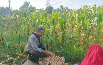 Langkah Konkret Polsek Batulayar Ajak Warga Sandik Ciptakan Pekarangan Produktif