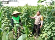 Sinergi Bhabinkamtibmas dan Petani Labuapi Manfaatkan Pekarangan Demi Kemandirian Pangan
