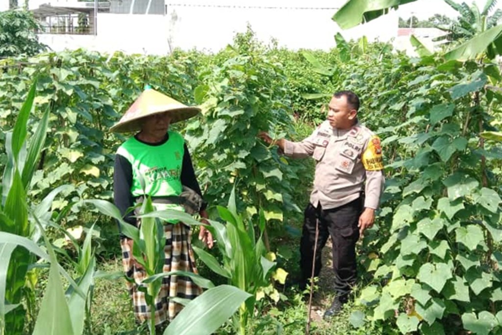 Sinergi Bhabinkamtibmas dan Petani Labuapi Manfaatkan Pekarangan Demi Kemandirian Pangan