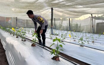 Bhabinkamtibmas Desa Kumbang Sambangi Warga dan Monitoring Ketahanan Pangan
