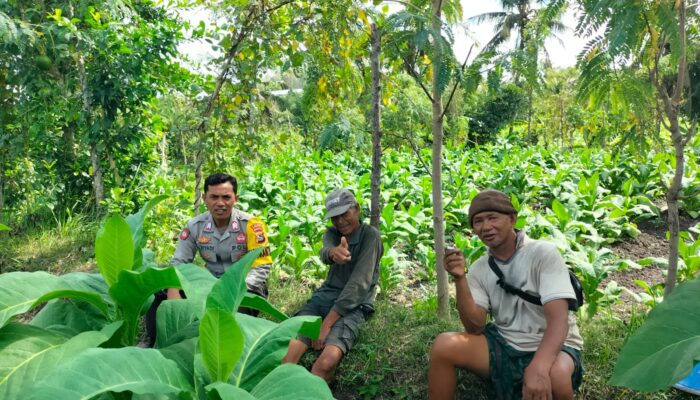 Bhabinkamtibmas Desa Sakra Selatan Jalin Silaturahmi dan Sampaikan Himbauan Harkamtibmas kepada Warga