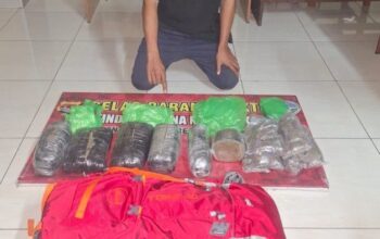 Diduga Pengedar Ganja, Seorang Pria asal Kota Mataram Ditangkap Polisi di Sumbawa Barat