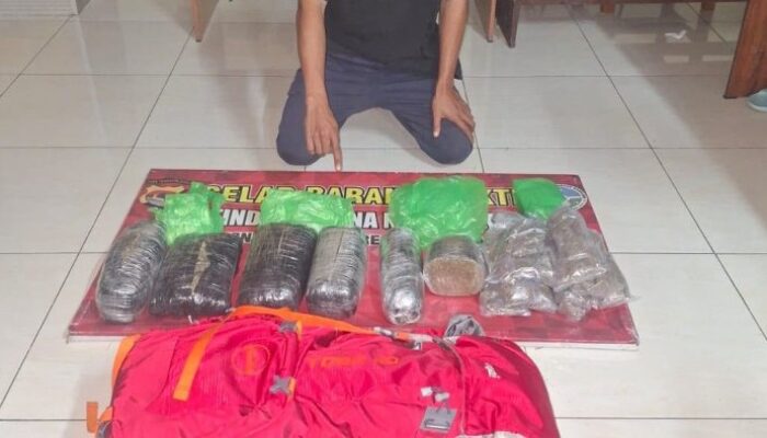 Diduga Pengedar Ganja, Seorang Pria asal Kota Mataram Ditangkap Polisi di Sumbawa Barat